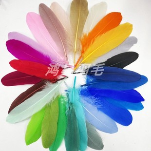 20根鹅毛硬飘太阳花墙饰装饰继承者们捕梦网翅膀材料diy彩色羽毛