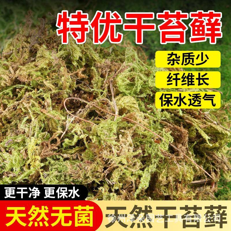 天然干苔藓爬宠过冬用品乌龟守宫蜥蜴育苗保湿干水苔爬虫造景垫材