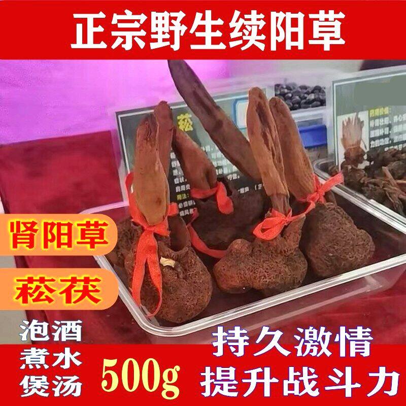 【西藏续阳草】野生续阳草 肾阳草起的快 持久泡酒料菘茯配龙鞭参