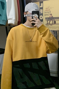 秋冬新款时尚大码港风圆领套头T恤卫衣男女款XZ1415-2#W5517#图片