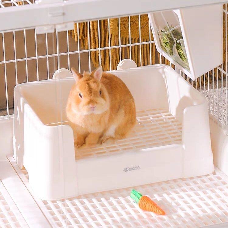 达洋大号厕所5204不锈钢尿盆便盆用品兔子猛兔荷兰猪龙猫专用豚鼠图片