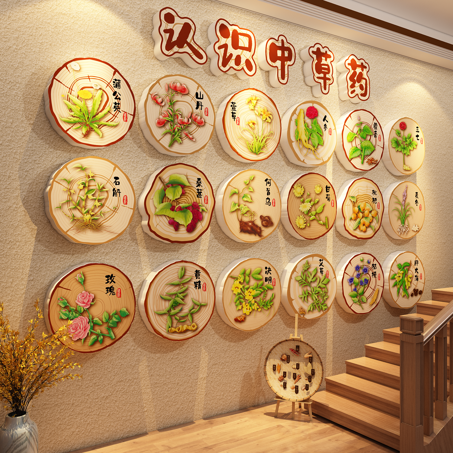 中草药材标本展示墙幼儿园环创中医馆教室氛围布置贴纸文化彩挂图