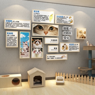 宠物店形象墙面装饰品氛围布置猫咖成长变化广告海报贴纸医院文化