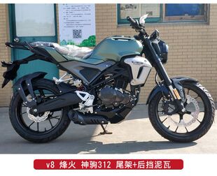 迅龙V8神驹312烽火V9国四150趴赛重型机车公路赛后货架街车尾箱架