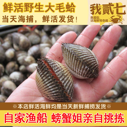 海鲜水产贝类鲜活毛蛤新鲜蛤蜊大毛蛤野生大毛蚶赤贝海毛蛤血蛤 - 封面