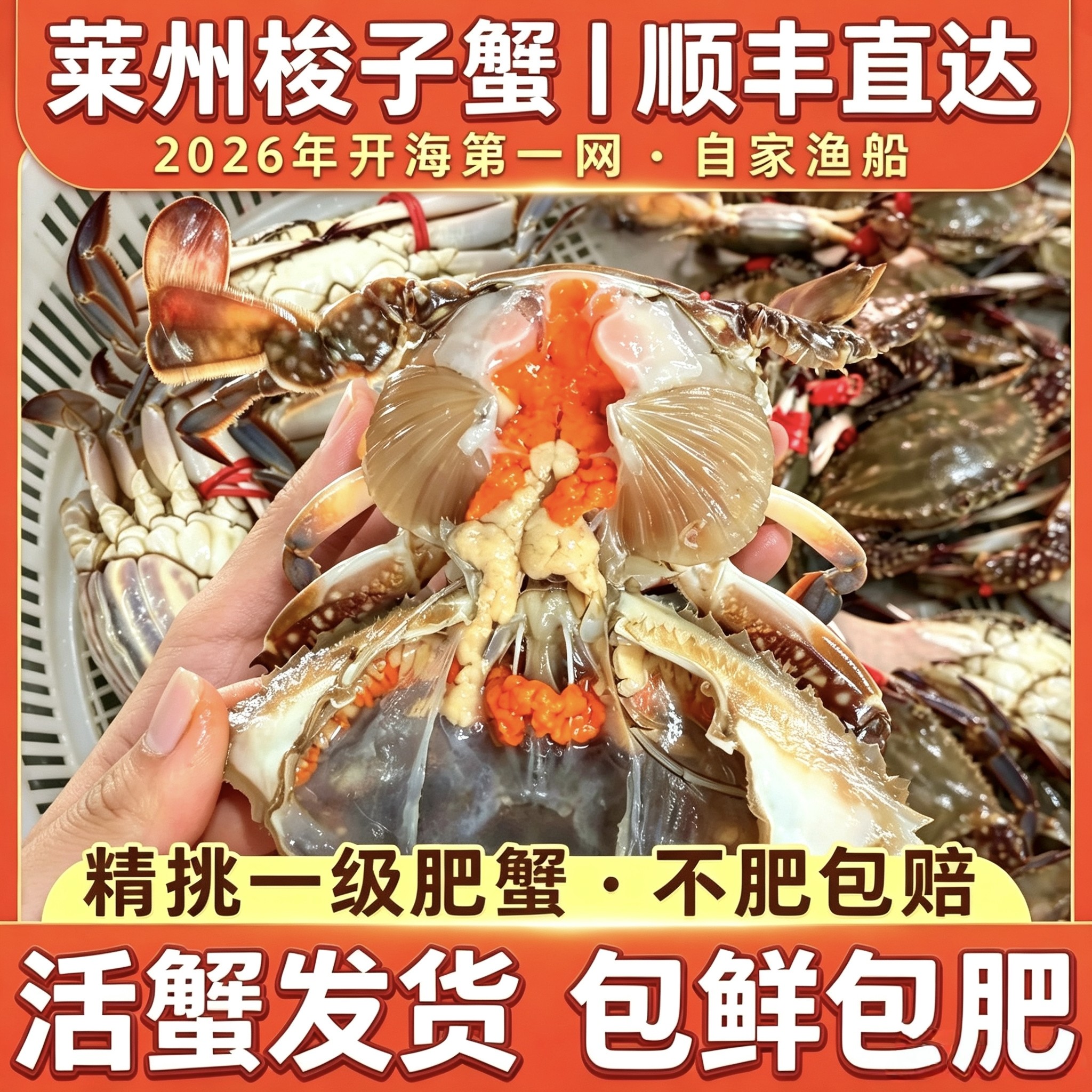 【保鲜不保活】莱州湾梭子蟹特大新鲜飞蟹野生海蟹螃蟹海鲜顺丰