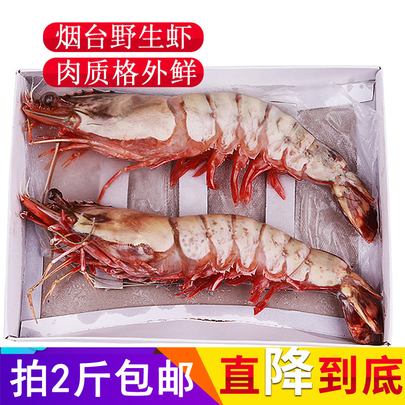 虎虾鲜活超大海鲜新鲜九竹节虾野生斑节虾特大对虾老虎虾大草虾