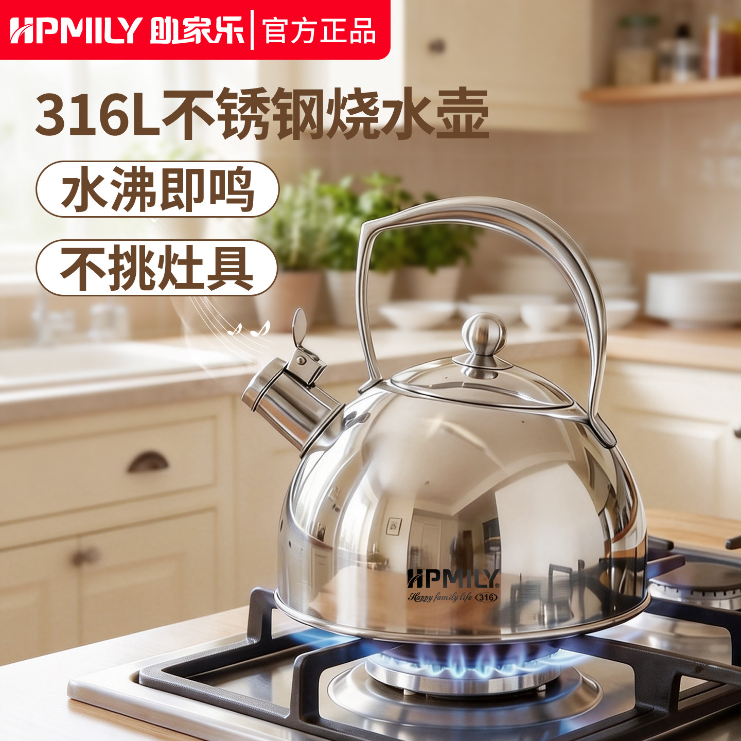 烧水壶燃气灶316L不锈钢家用明火水壶电陶炉老式煮水壶全钢水壶3L