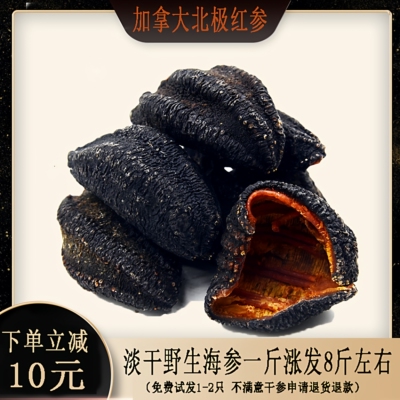 加拿大冰岛红极参500g包邮进口野生北极水产干散装淡干货刺参海渗