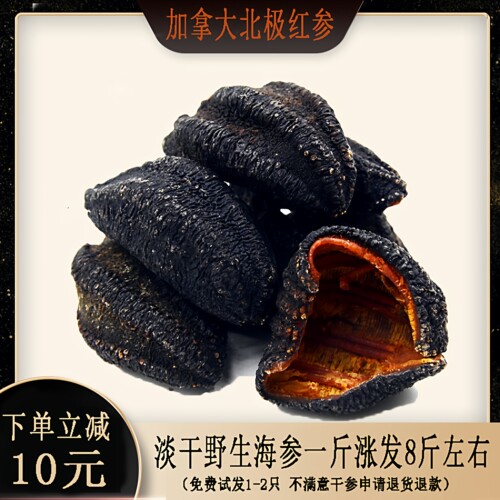 加拿大冰岛红极参500g包邮进口野生北极水产干散装淡干货刺参海渗