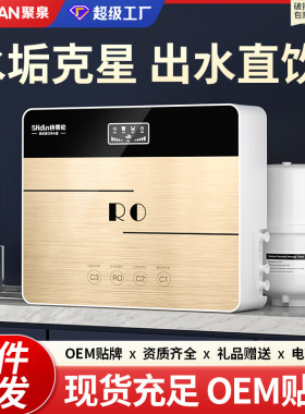诗蒂伦纯水机家用直饮机壁挂ro反渗透饮水机厨房自来水过滤水器