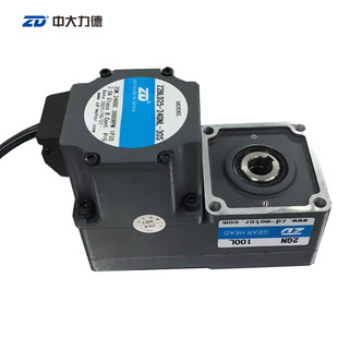 30S ZD中大无刷直流L型电机25W 2GN100L 24GNL Z2BLD25 24V 220V