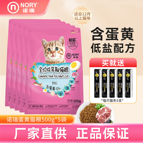 诺瑞成年期中国蛋黄美毛