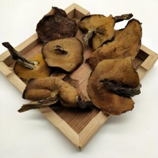 松蘑沂蒙山特产野生松蘑菇干货松菇粘蛾子松蛾粘团子野生蘑菇山货