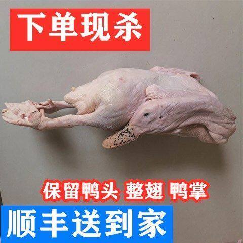 三年老鸭现杀鸭子 麻鸭 母 鸭肉 生态鸭老鸭子 散养放养水鸭土鸭