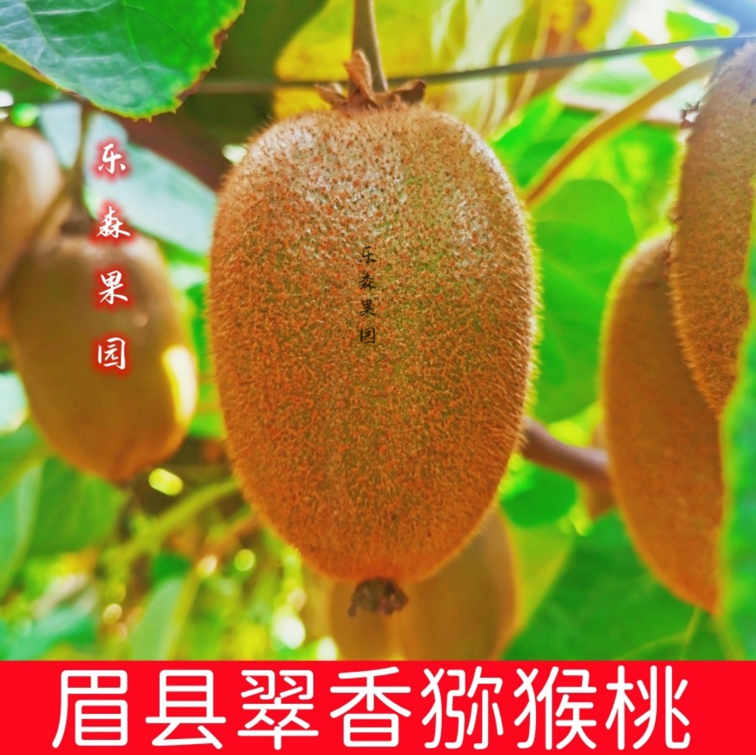 【纯甜】眉县翠香猕猴桃新鲜