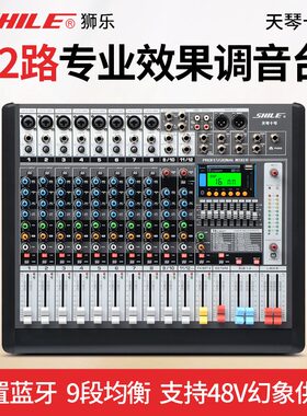 狮乐天琴十号专业12路调音台KTV舞台演出设备会议数字效果器系统