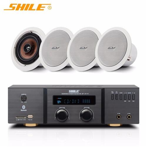 狮乐BX-205/AV-8820定阻同轴吸顶喇叭套装会议室超市背景音乐音响