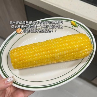 小粒黄玉米糯玉米微甜糯糯的玉米香味浓冷冻保存