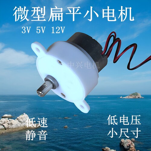 低速静音低压正反转小尺寸马达