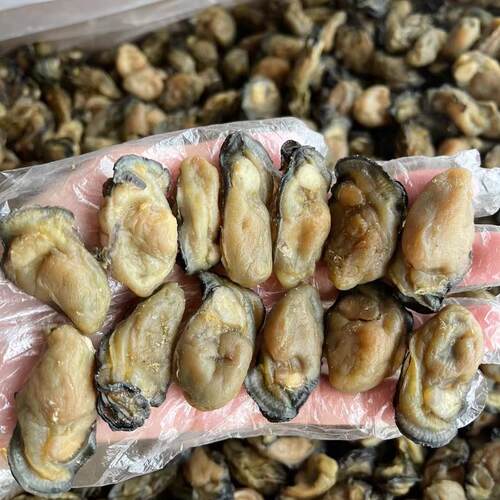 新货上市 自晒海蚝牡蛎干生蚝干海鲜干货干蚝豉海蛎子约120粒/斤