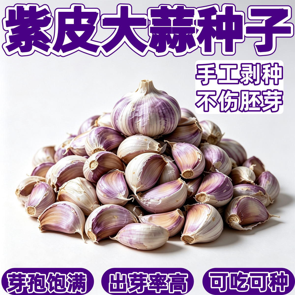 四川彭州耐寒早出苔大蒜种子