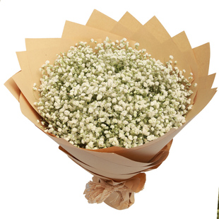 满天星花束礼盒苏州鲜花速递同城平江虎丘吴中区生日送花店送闺蜜