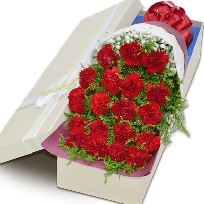 教师节康乃馨白百合生日鲜花速递