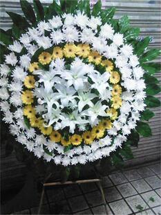 清明节菊花花束青岛鲜花速递同城冬至扫墓祭奠市南市北黄岛送花店