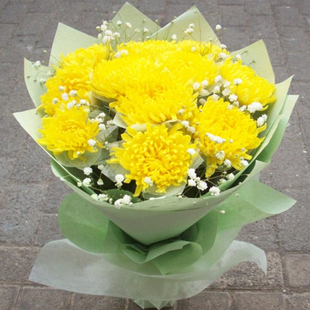清明节菊花花束天津鲜花速递同城冬至扫墓祭奠和平南开河西送花店
