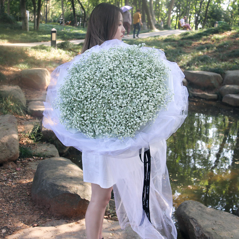 北京同城满天星生日鲜花速递