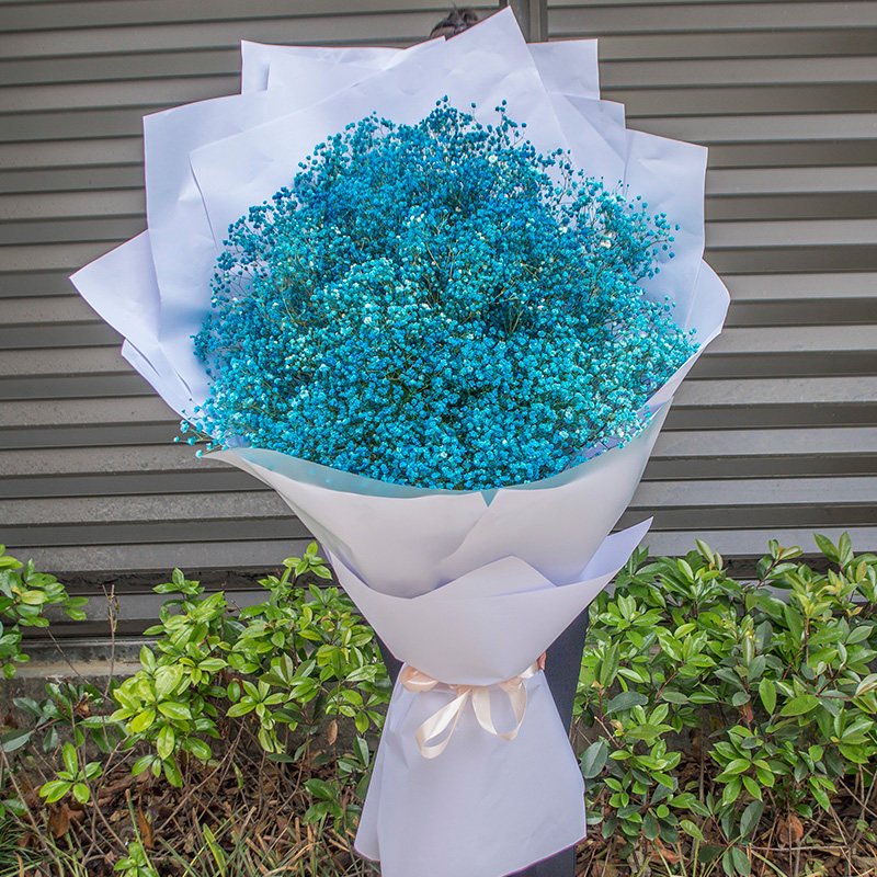 网红创意超大满天星花束太原鲜花速递同城小店迎泽尖草坪生日送花