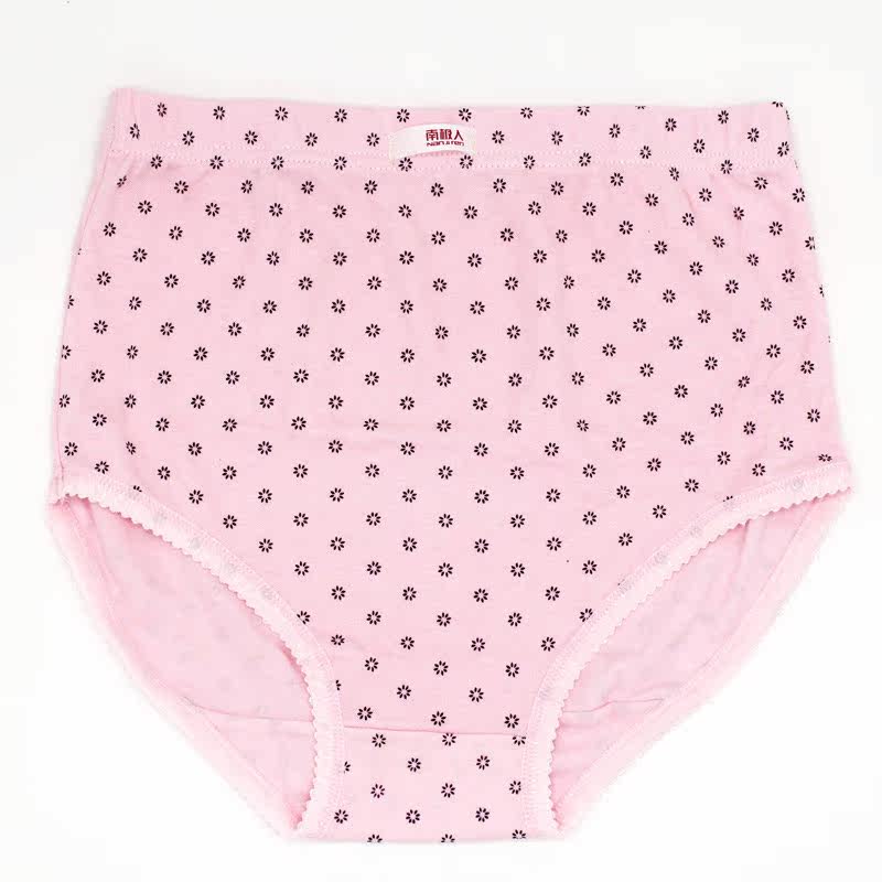 Slip Moyen-âge N8L5X20015 en coton - Ref 666096 Image 5