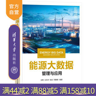 【官方正版新书】 能源大数据管理与应用 王博王兆华张斌邓娜娜 清华大学出版社 能源大数据