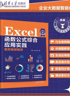 【官方正版新书】Excel 函数公式综合应用实践案例视频精讲 于峰 韩小良 清华大学出版社 Excel 函数公式 数据