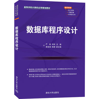 【官方正版】数据库程序设计 严南 清华大学出版社 工学数据库程序数据库设计