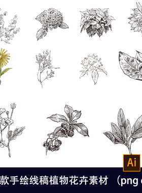 素描草本植物花卉线描手绘线稿化妆品包装AIps矢量设计素材197