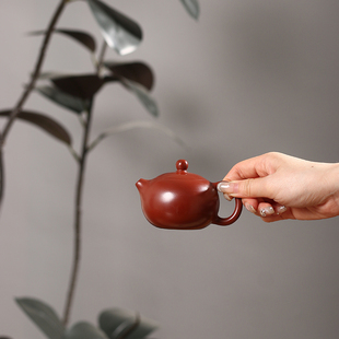 纯手工大红袍手工西施壶手拉壶三杯冲茶罐功夫工夫家用潮州朱泥