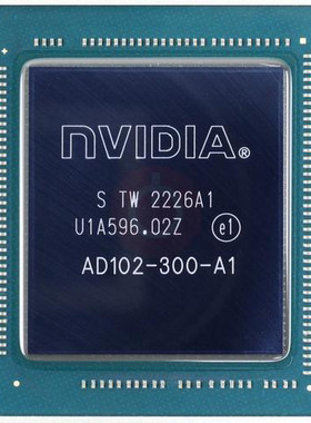 Intel/英特尔 G1610 AD102-300-A1 NVIDIA AD102-301-A1