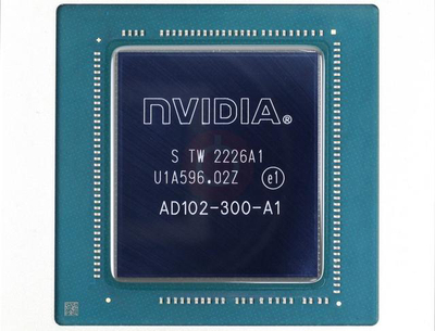 Intel/英特尔 G1610 AD102-300-A1 NVIDIA AD102-301-A1