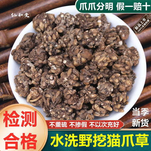 野生猫爪草中药材正品水洗猫爪茶