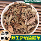 野生鱼腥草中药材干货新鲜鱼腥草茶折耳根野生鱼星草叶泡茶水500g