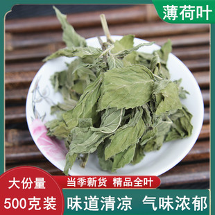 全叶特级薄荷叶药材正宗薄荷叶茶干薄荷叶干薄荷泡茶正品500g包邮