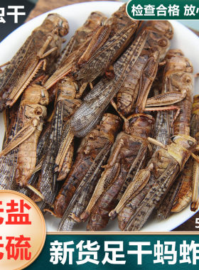 中药材干蚂蚱干货高蛋白干蝗虫