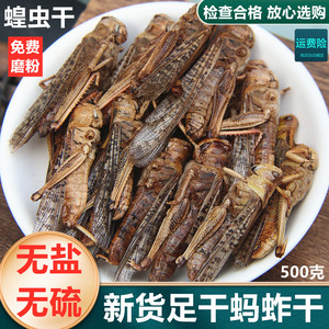 中药材干蚂蚱干货高蛋白干蝗虫