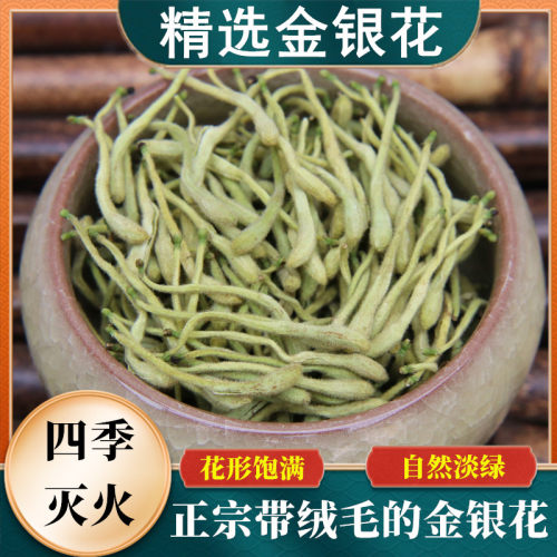 金银花茶野生特级金银花二花新茶
