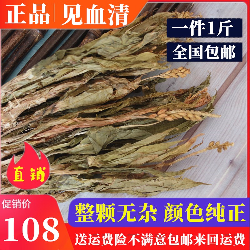 中药材见血清 云南 整棵 干货 见血青 立地好 羊耳蒜新货500g包邮
