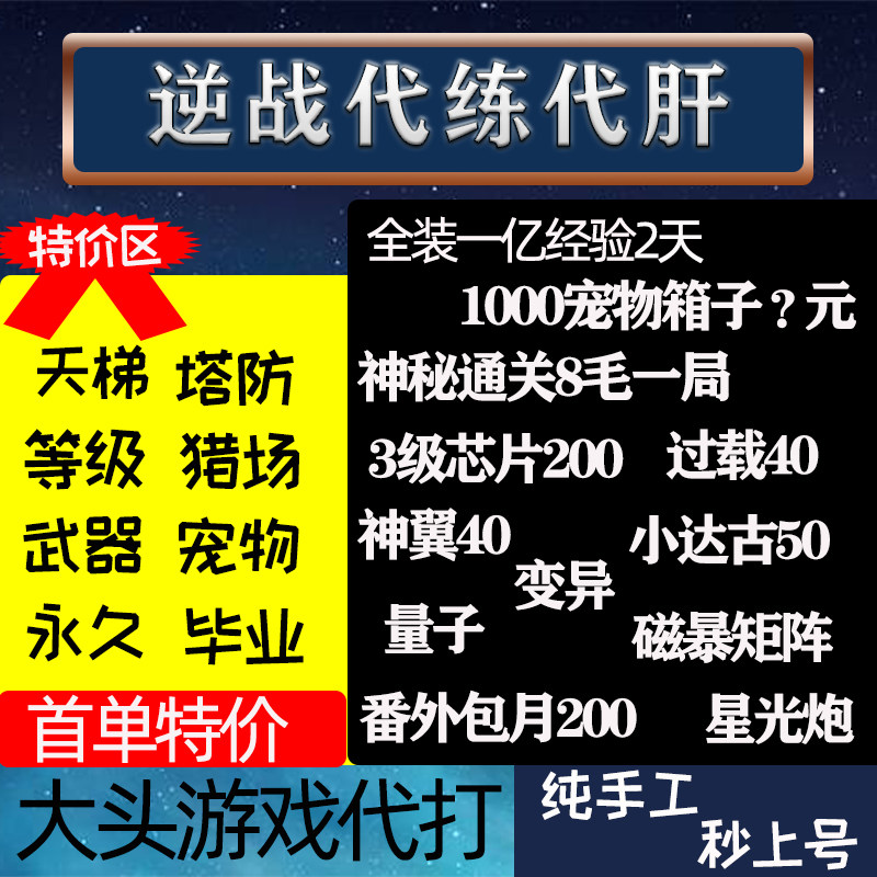 逆战代练代肝刷深渊秘境左轮芯片猎场宠物箱子塔防龙角刷等级经验