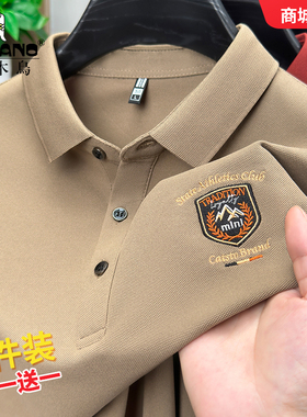 啄木鸟男士Polo衫秋冬季新款翻领长袖t恤宽松刺绣休闲上衣打底衫