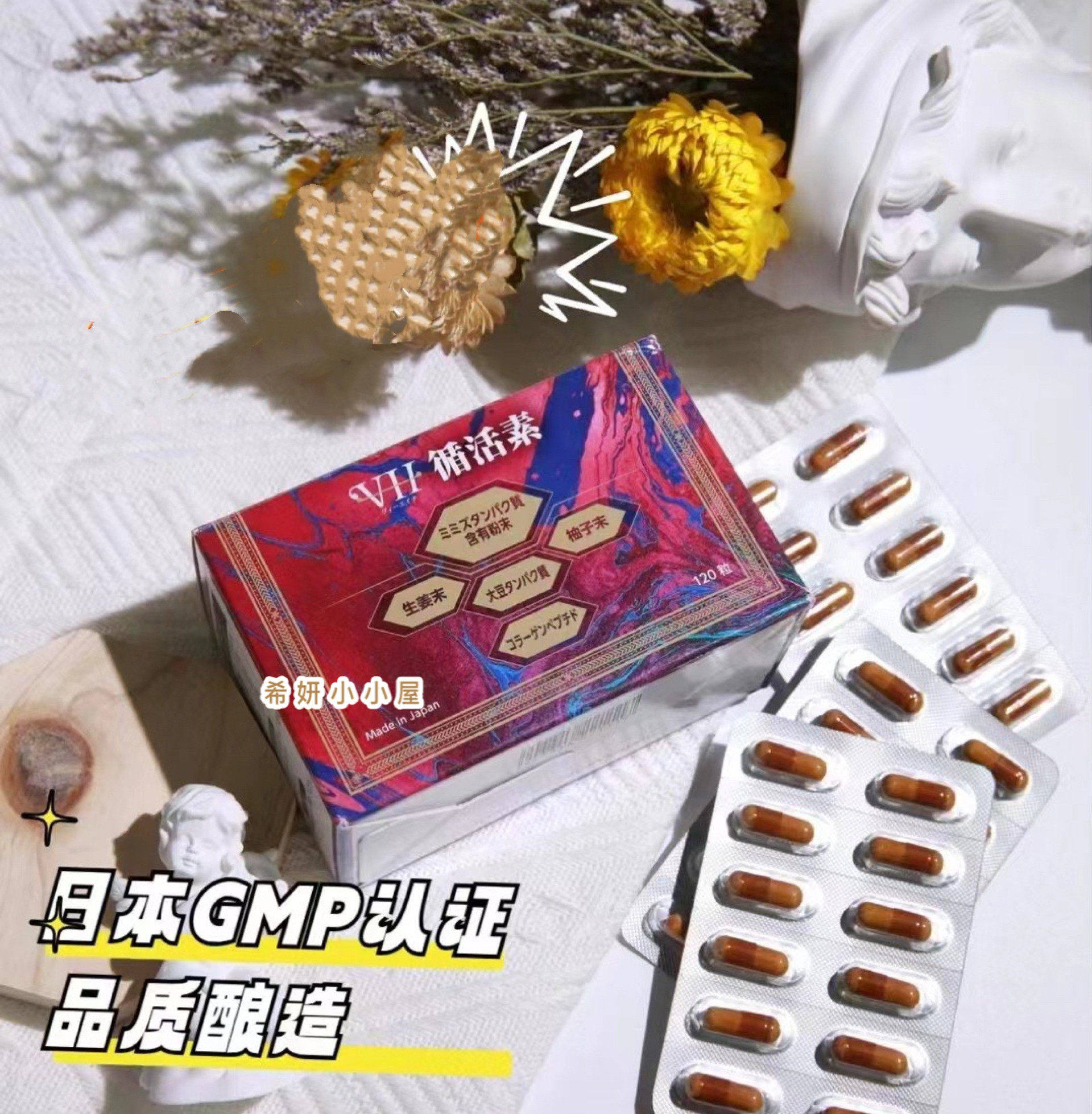 日本红蚯蚓酵素胶囊 高活性赤地龙垃圾大扫除120粒/盒